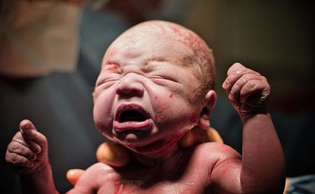 766 babies were born alive after botched abortions in Canada and allegedly left to die