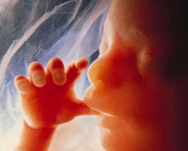 DISGRACEFUL: Irish Abortion Committee votes for abortion on demand up to 12 weeks