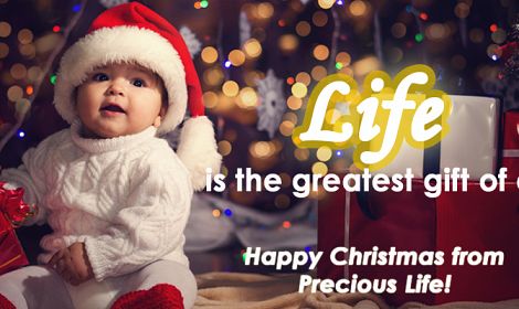 Happy Christmas from Precious Life!