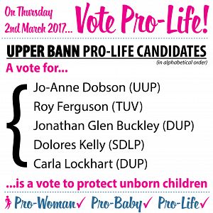 Upper Bann