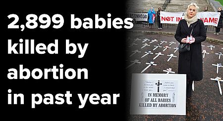 The pro-abortion Political Parties in Northern Ireland have the blood of 11,389 babies on their hands