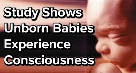 Study Shows Unborn Babies Experience Consciousness