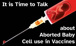 Christian Parents, It Is Time To Talk About Aborted Fetal Cell Use in Vaccines