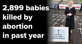 The pro-abortion Political Parties in Northern Ireland have the blood of 11,389 babies on their hands
