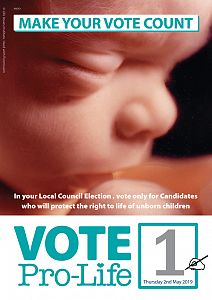 Vote Pro-Life Leaflet Campaign
