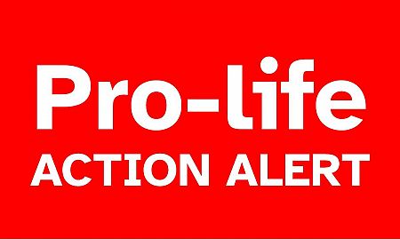 ACTION ALERT - Tell your MLAs - No 