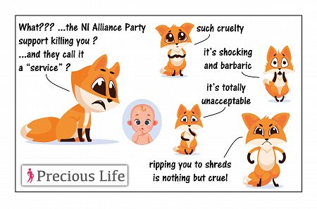 Hypocrisy -  ALLIANCE PARTY want to ban 