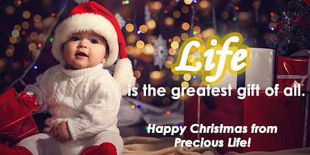 Happy Christmas from Precious Life!