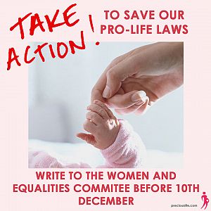 Women and Equalities Committee: 10 useful points to help you make your submission