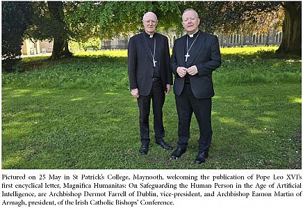 Precious Life welcomes Irish Bishops’ strong defence of human life