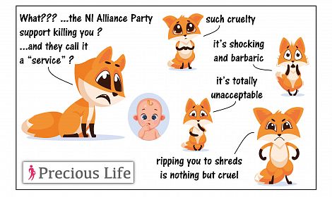 Hypocrisy - ALLIANCE PARTY want to ban