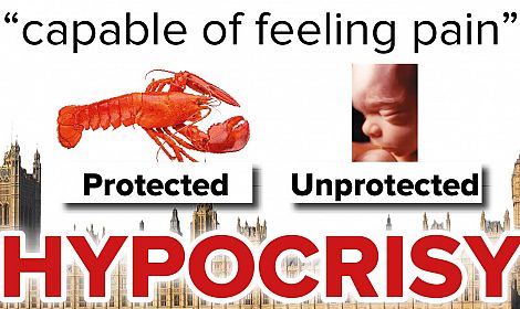 HYPOCRISY - UK Government to protect shellfish from pain, while killing 600 babies per day