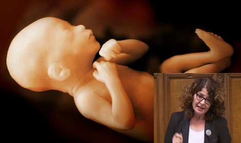 Labour MP Complains that not being able to kill Northern Irish children due to COVID-19 is