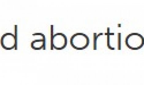 MP slams Northern Ireland abortion framework proposal